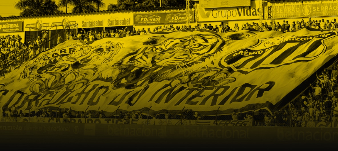 Grêmio Novorizontino stadium